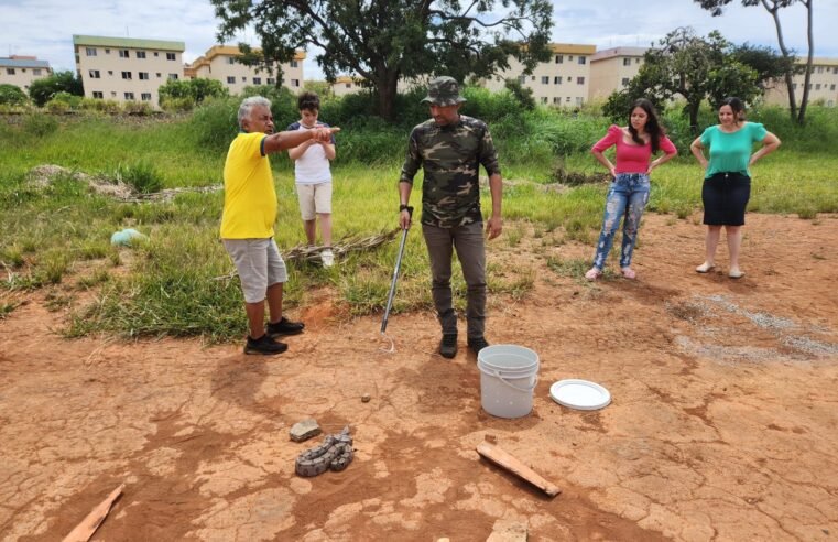JIBOIA É RESGATADA PELA SECRETARIA MUNICIPAL DE MEIO AMBIENTE